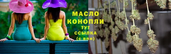 МДПВ Богородск