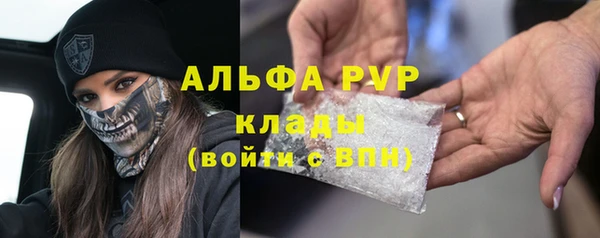 гашиш Богданович