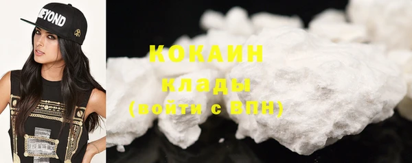 гашиш Богданович