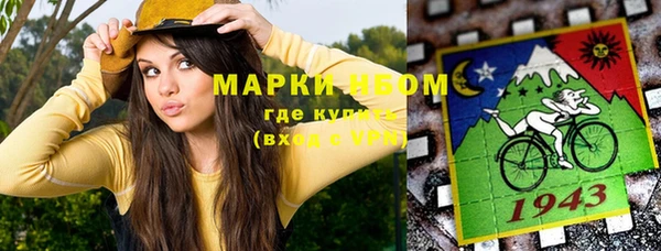 гашиш Богданович
