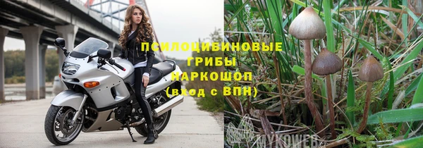 МДПВ Богородск