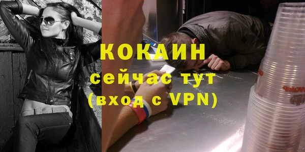 твердый Богородицк