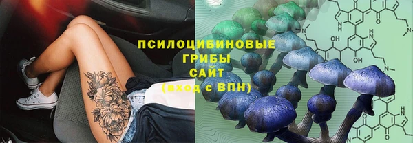твердый Богородицк
